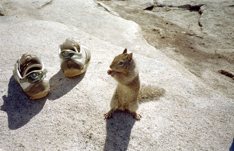 yosemite